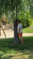 /album/2026-juliol-i-agost-casal-estiu/whatsapp-image-2026-07-26-at-11-34-11-jpeg/